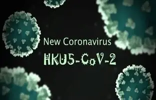 فقط یک جهش کوچک تا «اپیدمی»؛ کروناویروسِ HKU۵-CoV۲ در کمین/ باز هم پای خفاش‌ها در میان است؟