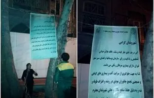 چرا درختان خیابان فلسطین قطع شد+ جزییات