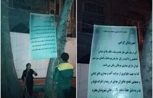 چرا درختان خیابان فلسطین قطع شد+ جزییات