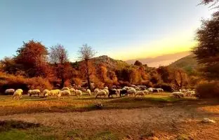  قبل از مرگ باید دید؛ جاهای دیدنی املش که شما را به وجد می‌آورد