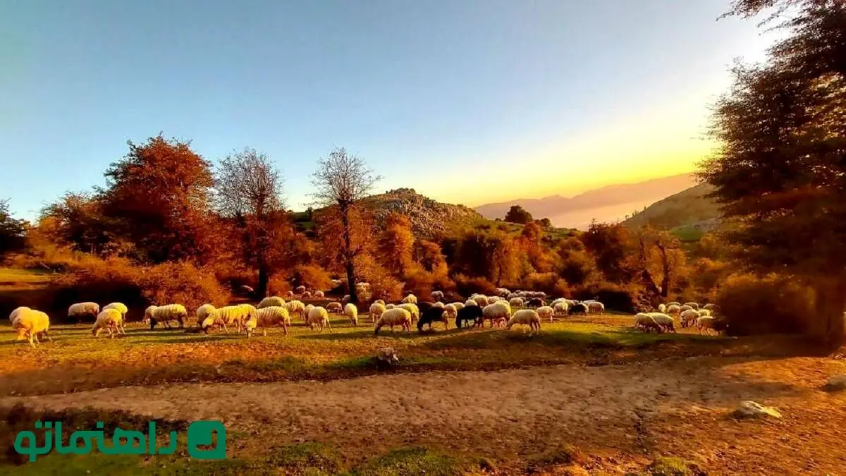  قبل از مرگ باید دید؛ جاهای دیدنی املش که شما را به وجد می‌آورد