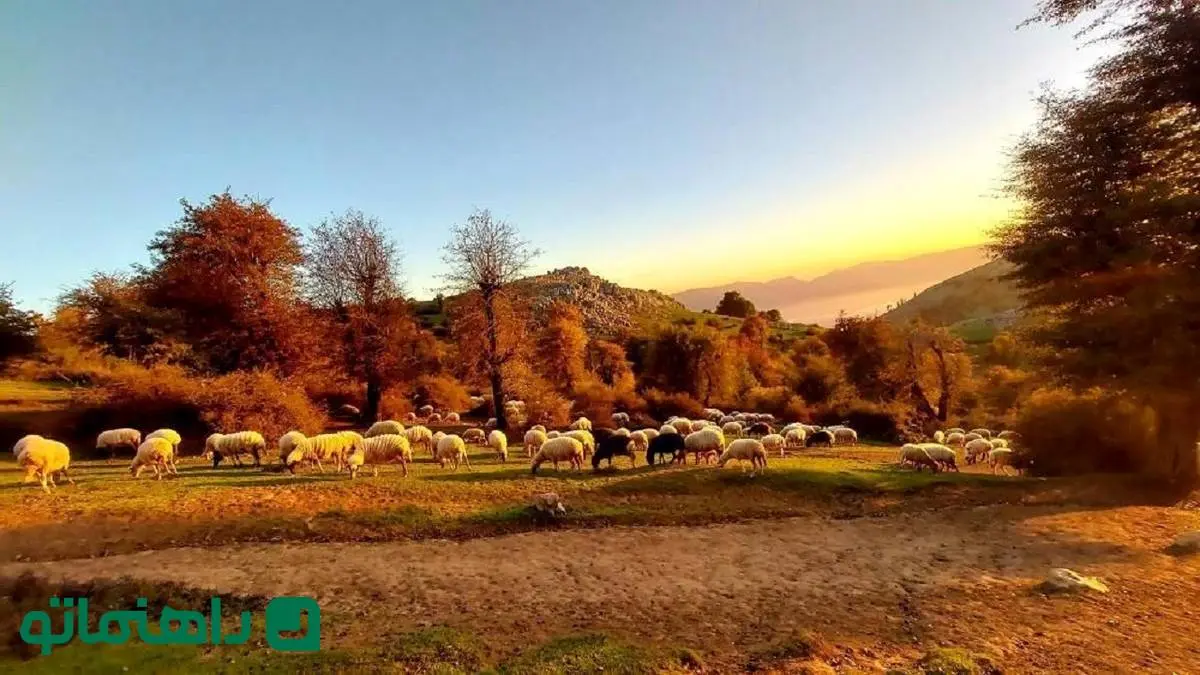  قبل از مرگ باید دید؛ جاهای دیدنی املش که شما را به وجد می‌آورد