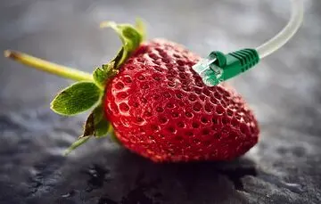 وزن تمام اینترنت دنیا چقدر است؟