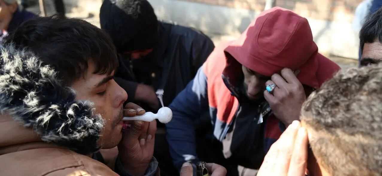 افزایش ۲ برابری قیمت تریاک / کیلویی چند؟