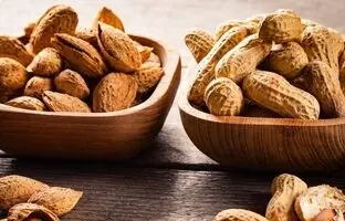 بادام یا بادام زمینی، کدامیک مغذی‌ترند