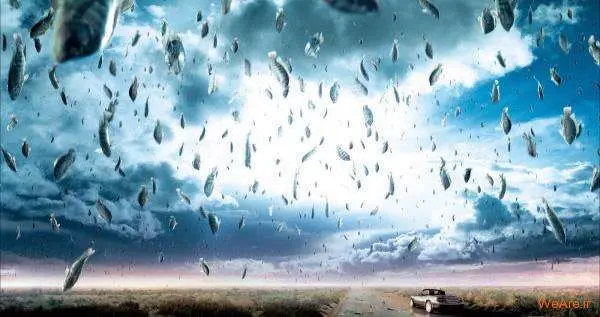 بارش ماهی از آسمان را ببینید! +ویدئو