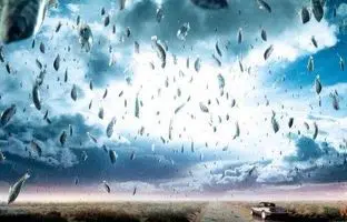 بارش ماهی از آسمان را ببینید! +ویدئو