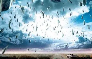 بارش ماهی از آسمان را ببینید! +ویدئو