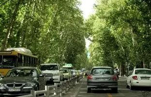 وقتی خیابان ولیعصر سنگفرش بود، سال 1315 + عکس