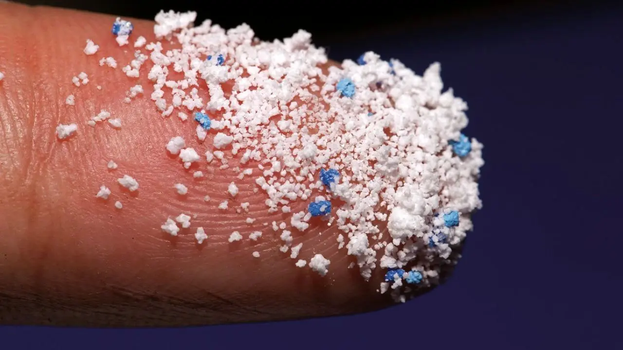 آیا می‌دانستید بدن انسان حاوی میکروپلاستیک‌های مضر است؟