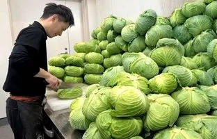 غذاهای خیابانی جهان؛ یک غذای سنتی با کلم و گوشت در فوکوئوکا ژاپن + ویدئو