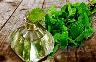 هرگز خودسرانه عرق نعنا نخورید + ویدئو