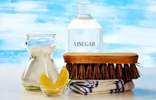 خانه‌تکانی با مواد طبیعی و ارگانیک/ اگر به شوینده‌های شیمیایی حساسیت دارید...