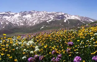 پاییز زودرس در بهشت کردستان: روستاهایی که شهریور ماه رنگ عوض می‌کنند
