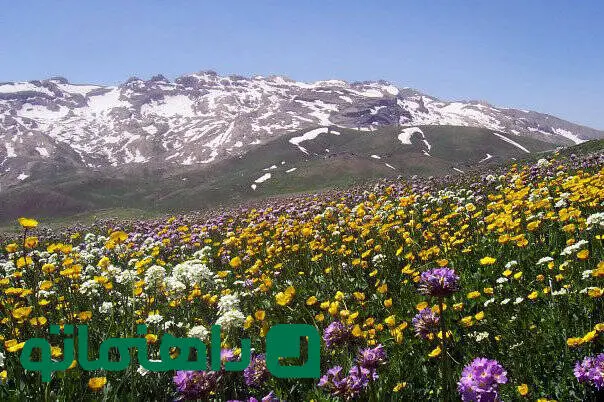 پاییز زودرس در بهشت کردستان: روستاهایی که شهریور ماه رنگ عوض می‌کنند
