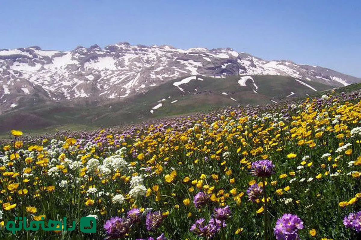 پاییز زودرس در بهشت کردستان: روستاهایی که شهریور ماه رنگ عوض می‌کنند
