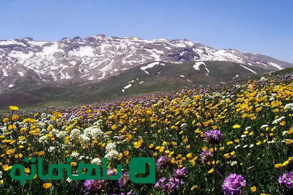 پاییز زودرس در بهشت کردستان: روستاهایی که شهریور ماه رنگ عوض می‌کنند
