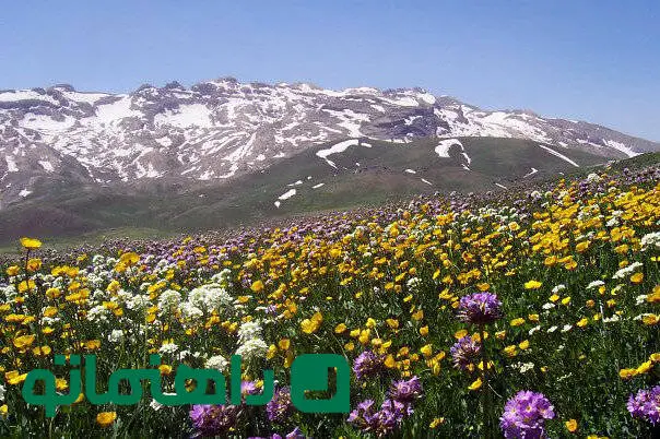 پاییز زودرس در بهشت کردستان: روستاهایی که شهریور ماه رنگ عوض می‌کنند
