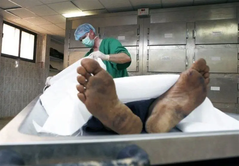 سودای دامادی جان مرد میانسال را گرفت