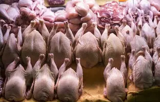 راهنمای بازار؛ قیمت گوشت مرغ، امروز ۱ اردیبهشت ۱۴۰۴