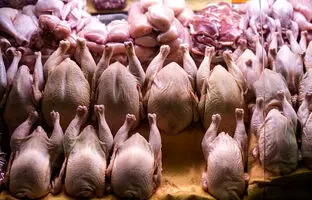 راهنمای بازار؛ قیمت گوشت مرغ، امروز ۳ خرداد ۱۴۰۴
