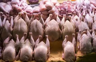 راهنمای بازار؛ قیمت گوشت مرغ، امروز ۳ خرداد ۱۴۰۴
