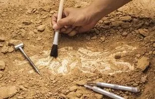 کشف آثاری با نمادهای تاریخی در پالایشگاه بیدبلند بهبهان