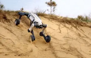 ربات چینی در دریا شنا و میان شن‌های صحرا تردد می‌کند! + ویدئو