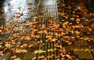 پاییز از کی بارانی می‌شود؟