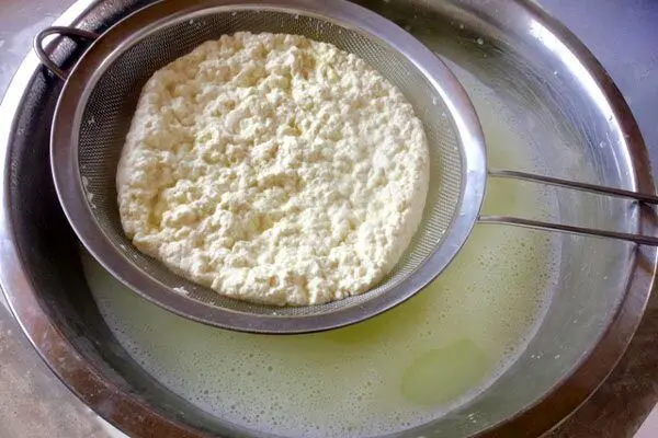 آب پنیر را دور نریزید ؛ خواص آب پنیر برای سلامتی و بدنسازی + روش تهیه و عوارض آن