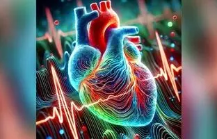 فیلمی شگفت انگیز از ضربان قلب زیر میکروسکوپ + ویدئو