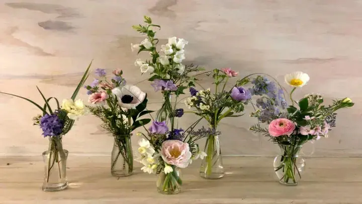  ۱۰ تکنیک آسان برای ماندگاری بیشتر گل‌ ها در گلدان