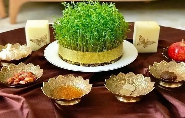 راهنمای کاشت انواع سبزه برای سفره عید + سریع ترین سبزه عید