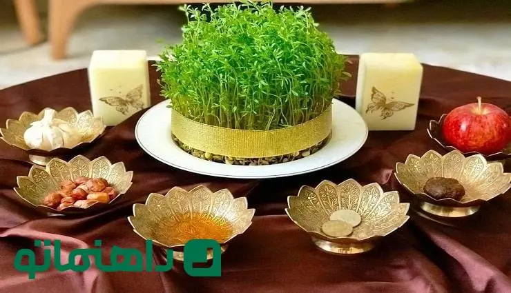 راهنمای کاشت انواع سبزه برای سفره عید + سریع ترین سبزه عید