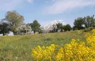 همسفر با بهار به دشت‌های نزدیک تهران؛ 5 دشت رویایی برای تعطیلات آخر هفته