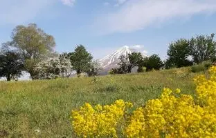 همسفر با بهار به دشت‌های نزدیک تهران؛ 5 دشت رویایی برای تعطیلات آخر هفته