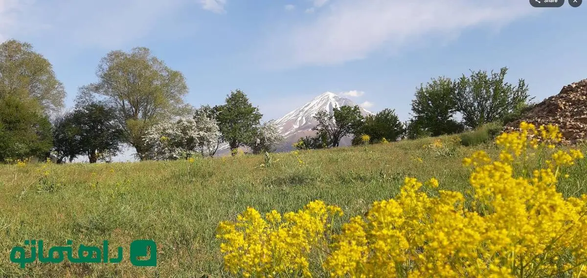 همسفر با بهار به دشت‌های نزدیک تهران؛ 5 دشت رویایی برای تعطیلات آخر هفته