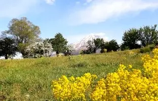 همسفر با بهار به دشت‌های نزدیک تهران؛ 5 دشت رویایی برای تعطیلات آخر هفته