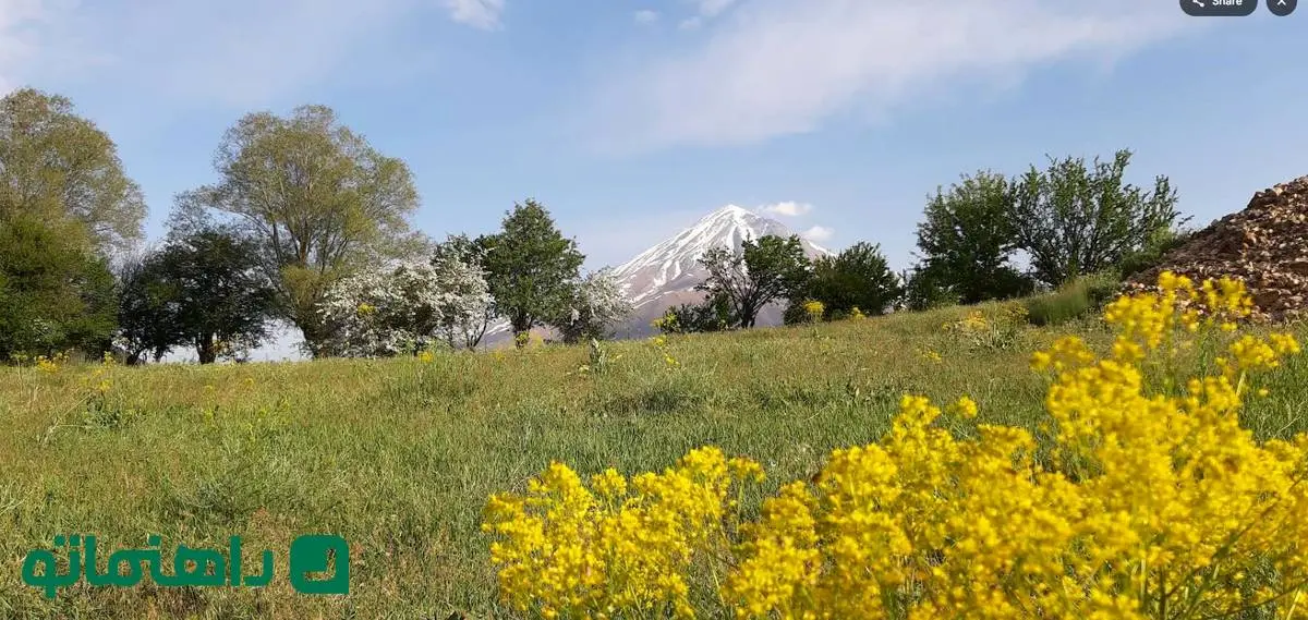 همسفر با بهار به دشت‌های نزدیک تهران؛ 5 دشت رویایی برای تعطیلات آخر هفته