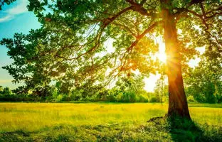 وضعیت هوا تهران امروز دوشنبه 30 تیر