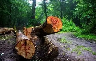 طرح نهضت ملی مسکن شکست خورد؟
