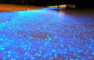راهنمای سفر؛ ساحل نقره ای، فیروزه ای درخشنده و زیبا در هرمز