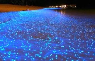 راهنمای سفر؛ ساحل نقره ای، فیروزه ای درخشنده و زیبا در هرمز