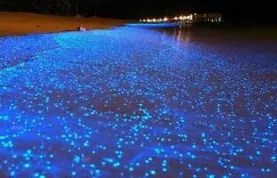 راهنمای سفر؛ ساحل نقره ای، فیروزه ای درخشنده و زیبا در هرمز