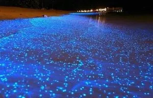 راهنمای سفر؛ ساحل نقره ای، فیروزه ای درخشنده و زیبا در هرمز