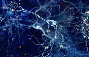 شناسایی سیگنالی منحصربه‌فرد در مغز