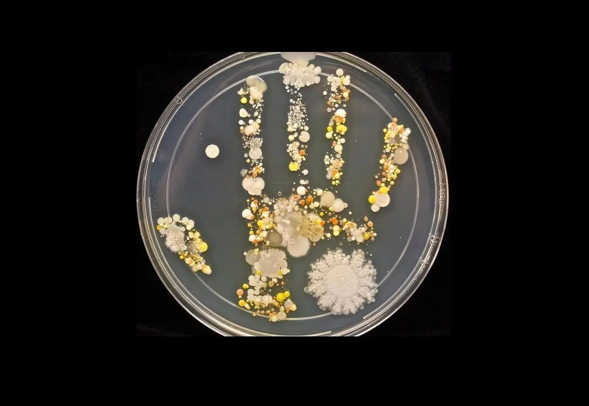 به خاطر این فیلم به نظافت دست های خود اهمیت دهید! + ویدئو