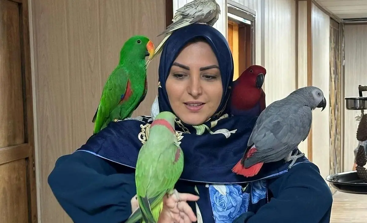  طوطی بازی المیرا شریفی مقدم + تصویر