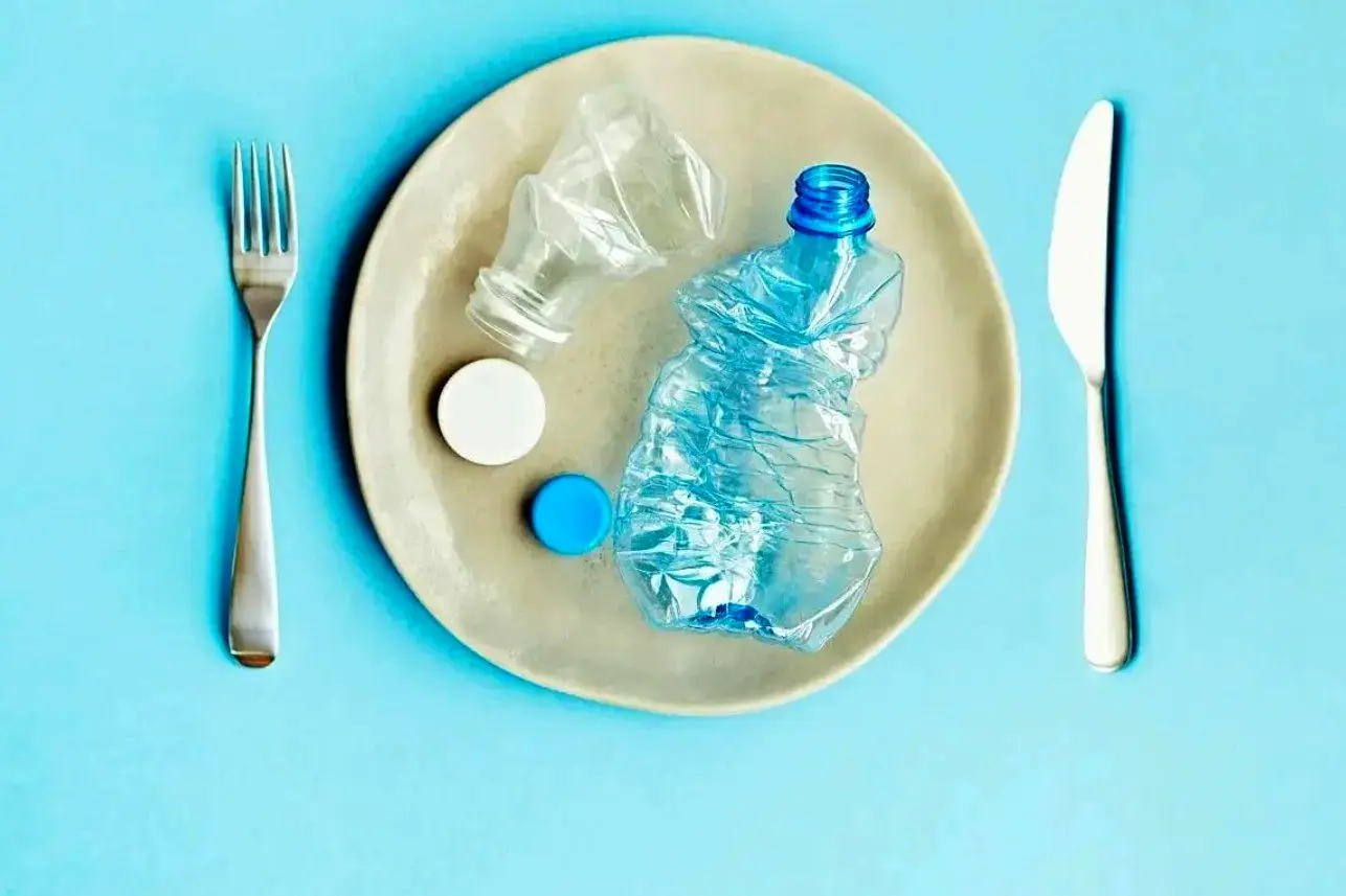 ماهانه چه مقدار پلاستیک می‌خوریم؟