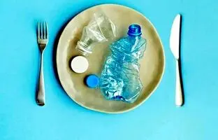 ماهانه چه مقدار پلاستیک می‌خوریم؟